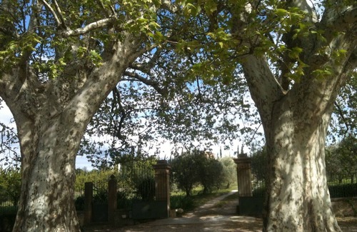 Caromb Casa | Family House 18a, en un tranquilo parque de 5 hectáreas, huertos y olivares