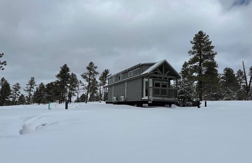 Williams Chalet De Esquí | 1B Cozy chalet with 1 bedroom, AC, WiFi and forest view with patio in Williams