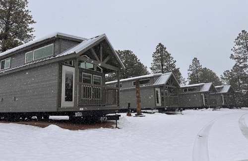 Williams Chalet De Esquí | 1B Cozy chalet with 1 bedroom, AC, WiFi and forest view with patio in Williams