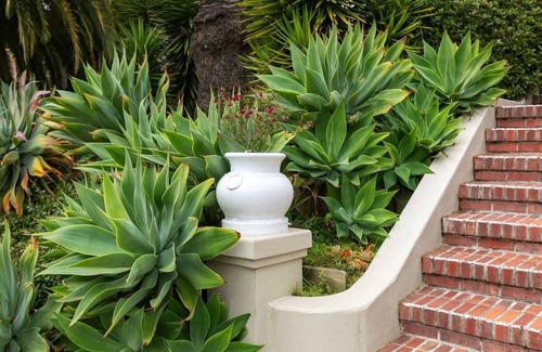 Piedmont Apartamento | 1BR, 1BA spacious, fully furnished unit in best area with laundry, Wi-Fi, TV.
