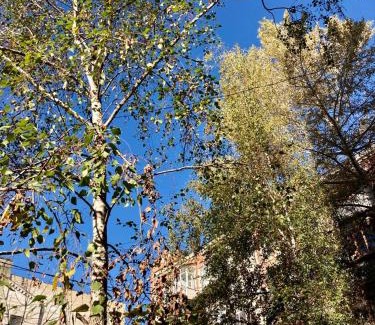 Podil Apartamento | 1BR apartment in the old city center (Kyïv)