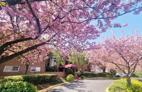 Elkins Park Apartamento | This apartment is a 1 bedroom(s), 1 bathrooms, located in Elkins Park, PA.