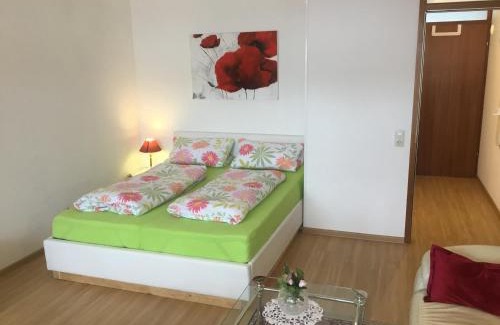 Schoenwald Apartamento | 1Z.FeWo 236 barbo Schwimmbad,Sauna,Fitness