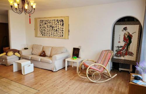 Schonach im Schwarzwald Apartamento | 2 Apartments in Schonach mountain-Top, free parking, new kitchen, renovated bathroom, high-speed internet