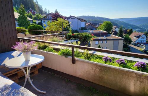 Schonach im Schwarzwald Apartamento | 2 Apartments in Schonach mountain-Top, free parking, new kitchen, renovated bathroom, high-speed internet