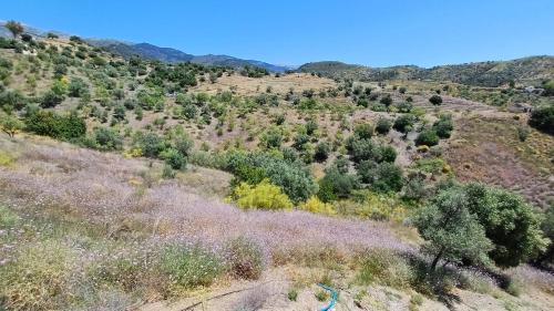 Sedella Casa | 2 Bed 2 Bath Villa Near Sedella Heatable Saltwater Pool