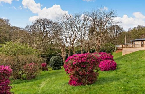 Newport Casa | 2 Bed in Newport 94717
