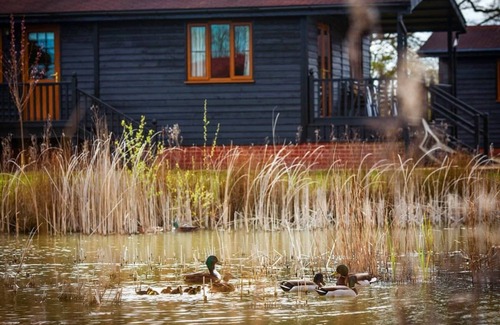 Hinton Chalet De Esquí | 2 bedroom accommodation in Darsham, Nr Southwold