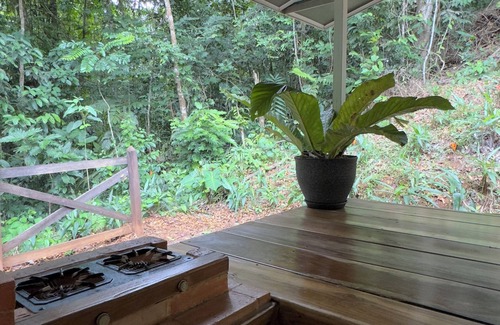 Sarapiquí Cabina | 2-Bedroom Coco Cabana in the Jungle