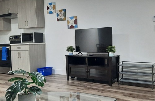 Delta Apartamento | 2 bedroom executive, private, cozy, clean suite