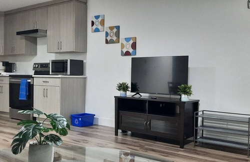 Delta Apartamento | 2 bedroom executive, private, cozy, clean suite