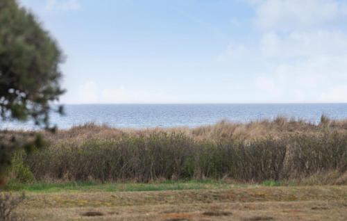 Store Kongsmark Casa | 2 Bedroom Pet Friendly Home In Slagelse