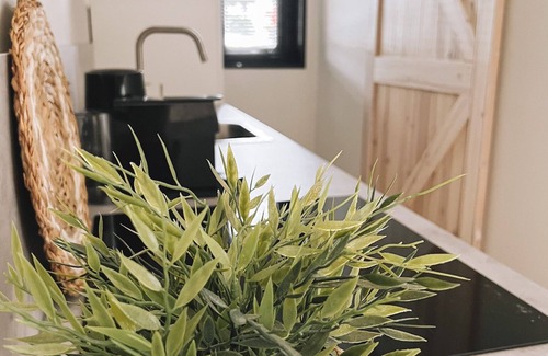 Rheezerveen Casa | 2 bedroom private vacation home in rheezerveen