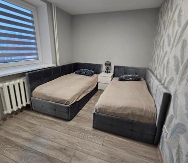Siauliai City Center Apartamento | 2-bedrooms apartment in city center Šiauliai