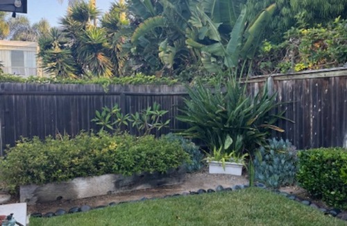 Leucadia Condominio | 2 br/2ba near Ocean. Redecorated & fully furnished with kitchen gear and linens.
