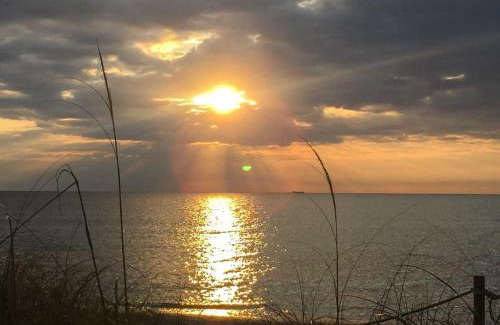 Dania Beach Casa | 2 Mi to Boardwalk Home with Grill in Dania Beach!