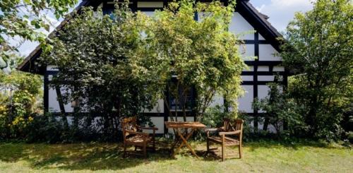 Warthe Apartamento | 2-Raum Apartment bis 4 Pers 31