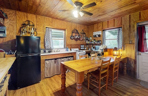 Bronson Cabina | 2 riverfront cabins with large yard, grill, firepit, canoe, & private W/D