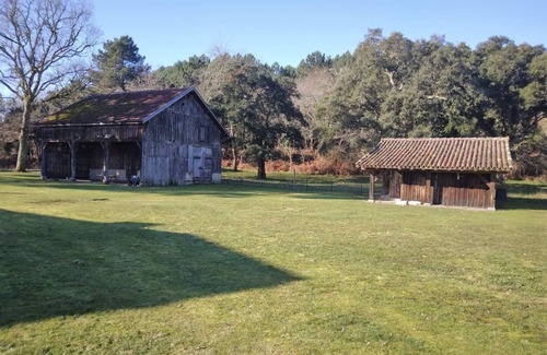 Vielle-Saint-Girons Apartamento | 2 rooms between forest and ocean