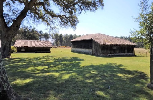 Vielle-Saint-Girons Apartamento | 2 rooms between forest and ocean