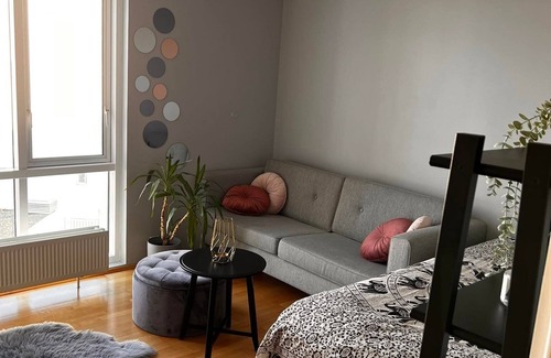 Grafarvogur Apartamento | 2 rooms in shared apartment - private bathroom. (50 $ cleaning fee included)