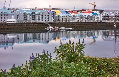 Grafarvogur Apartamento | 2 rooms in shared apartment - private bathroom. (50 $ cleaning fee included)