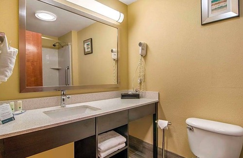 Albany Hotel | Hotel de 2 estrellas ∙ Quality Inn & Suites