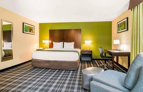 Albany Hotel | Hotel de 2 estrellas ∙ Quality Inn & Suites