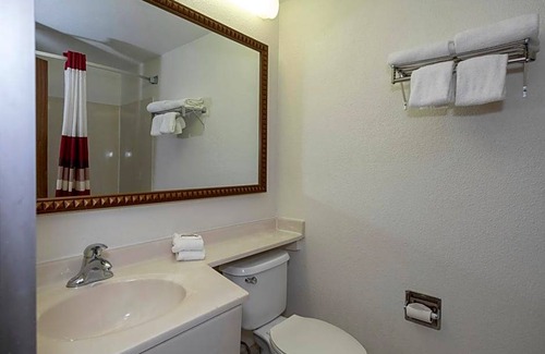 Yorkshire Hotel | Hotel de 2 estrellas ∙ Red Roof Inn and Suites Newark - University
