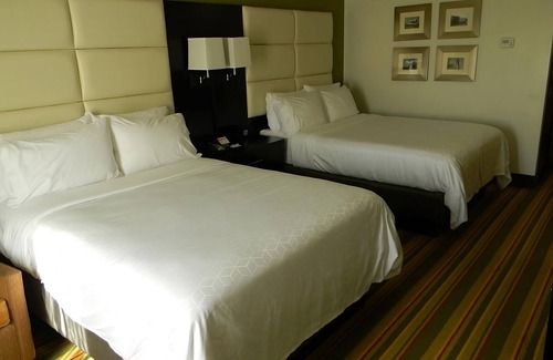 Madison Hotel | 2 Stylish Units for Business Travel, Breakfast, Park