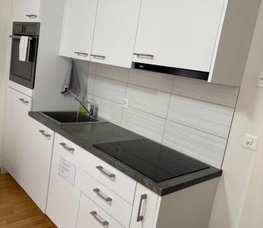 Winterthur Apartamento | 2 Zimmer Appartement mit eigenem Bad und Küche