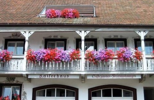 Uehlingen-Birkendorf Apartamento | Apartamento de 2 piezas "Silberdistel", 75m², 1 habitación, max. 5 personas