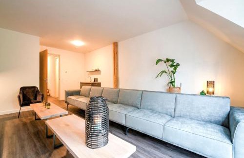 Noardburgum Casa | 20 pax Farmhouse in Noardbergum with hottub and pub