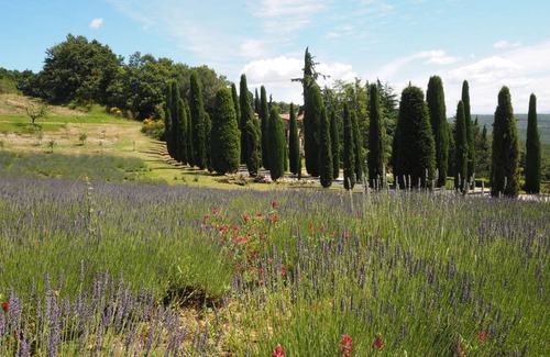 San Gimignano Apartamento | 200 m² Apartamento ∙ 3 habitaciones ∙ 6 huéspedes