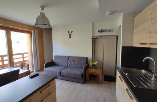 Les Claux Apartamento | A 100m de las pistas de esquí, 1.o piso, balcón, parking, tv, local para esquís, 50m², Vars