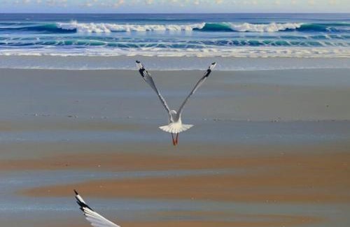 Yzerfontein Apartamento | 21 ON BAKOOND