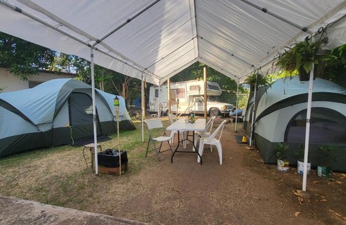 Esperanza Otro | 212 BIO BAY TOUR 5 MINUTES WALK-HELP CANCER PATIENT'S FUNDRAISING CASH-MERCY INHOUSE CAMPSITE-FULL BED-FAN-TORCH TENT'S RENTAL'S-NOT A HOTEL-OPEN COUNTRY LIKE CAMPSITES-NOT JUMANJI-BATH SHARED LIKE CINEMA-WHATSAPP-Guest Pay Diesel-Pick Up Airport or Port