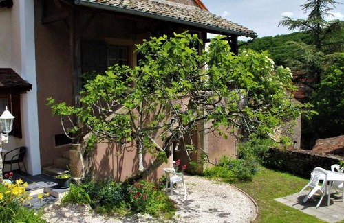 Royer Cama Y Desayuno | 25 m² Bed & Breakfast ∙ 5 huéspedes