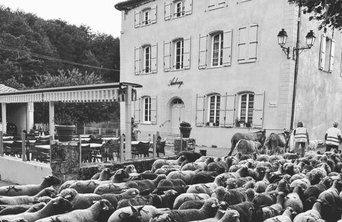 Le Bourguet Hotel | 25 m² Hotel ∙ 4 huéspedes