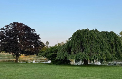 Johnsonburg Casa | 250 Acres of Refined Serenity for Bespoke Events & Gatherings