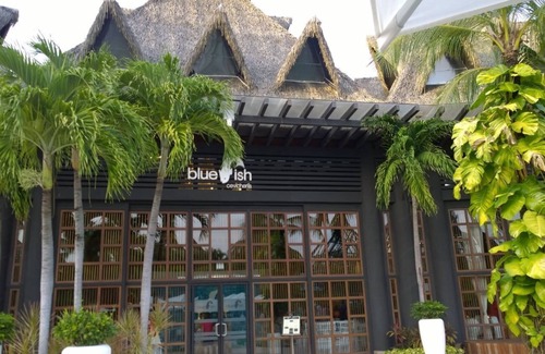 Ejidal Apartamento | 2BD GLuxxe Residence loft Riviera Maya