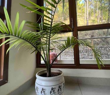 Barog Apartamento | 2BHK Furnished Apartment/Near Kasauli/Barog/Luv Fun & Adventure