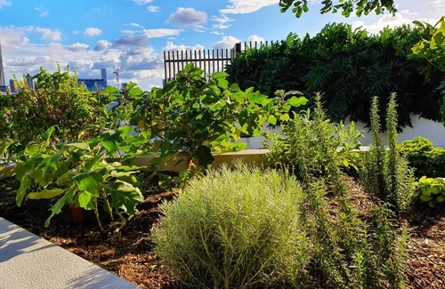 Newstead Apartamento | 2BR Food Drink Hub Pool 2 Cars Gym Rooftop