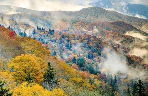 Kodak Condominio | Escapada 2BR Smokey Mountains