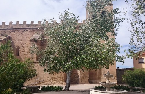 Fabara Apartamento | GATERA 2D TURISMO BAJO ARAGON -MATARRAÑA
