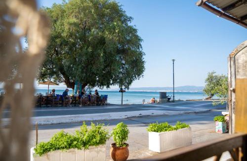 Neoi Epivates Apartamento | 2k Cozy Beach House