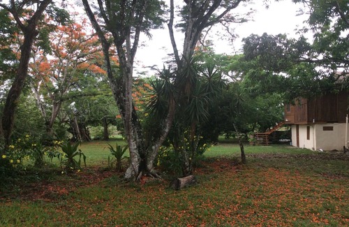Billy White Casa | Mango 2 + 1. Seguro. Vistas del atardecer de montaña. 90 acres; Cocos Aves. Picnic