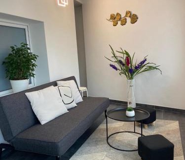 Lahovice Apartamento | 3 Apartments in 1 location