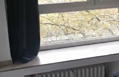 Duisburg Mitte Apartamento | 3-bedroom apartment in delightful Duisburg with WiFi