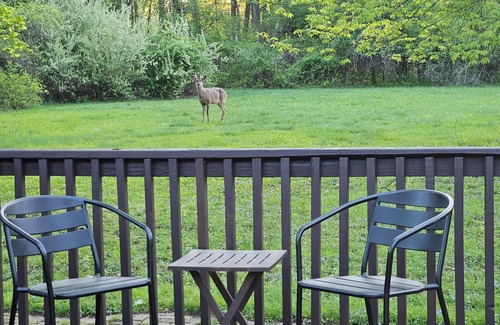 Southfield Casa | 3-bedroom home away from home in tranquil Southfield, quiet and peaceful.